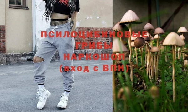 МДПВ Володарск