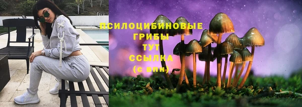 соль курить ск Волосово